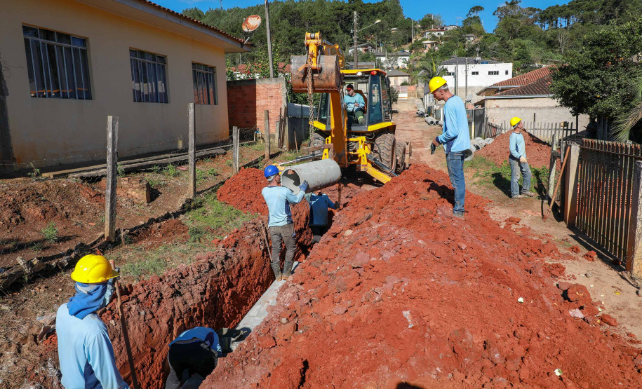 Prefeituras de 50 municípios já plantaram 86.930 mudas no programa Asfalto Novo, Vida Nova