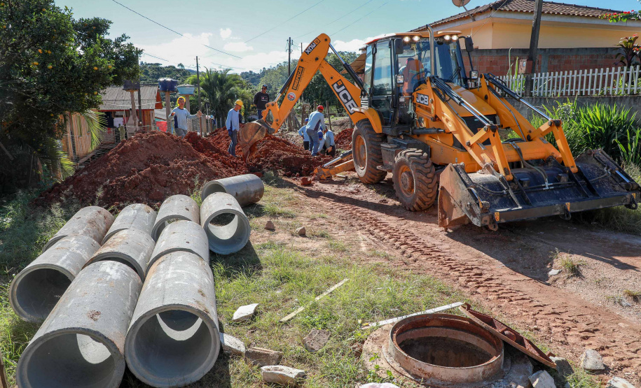 Prefeituras de 50 municípios já plantaram 86.930 mudas no programa Asfalto Novo, Vida Nova