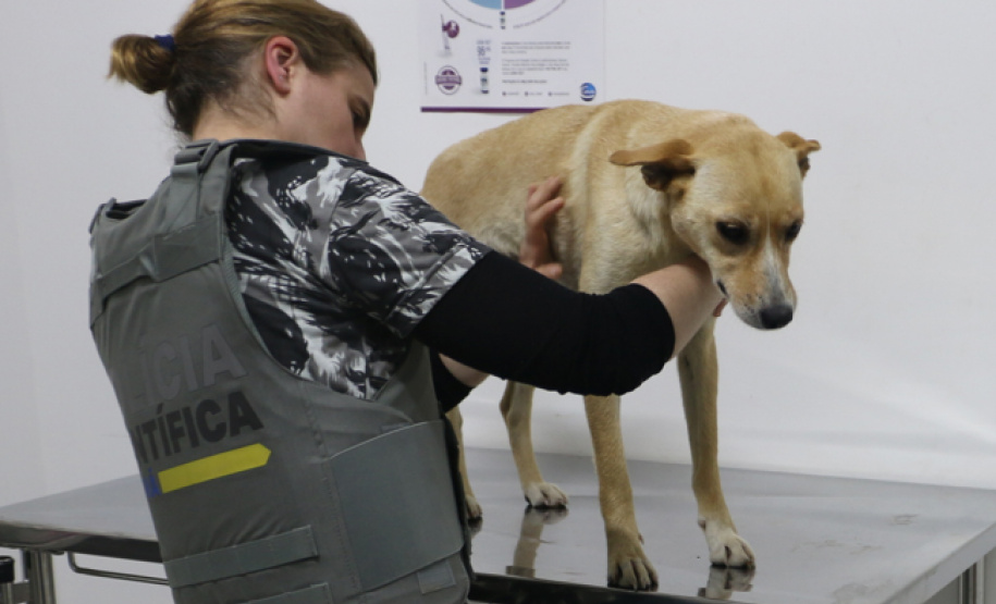 POLÍCIA CIENTÍFICA MEIO AMBIENTE