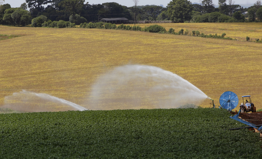 Governador sanciona lei que institui políticas de segurança hídrica na agricultura no Paraná