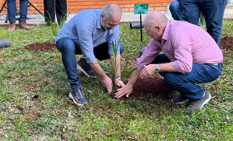IAT CENTRO DE EDUCAÇÃO AMBIENTAL BURITI
