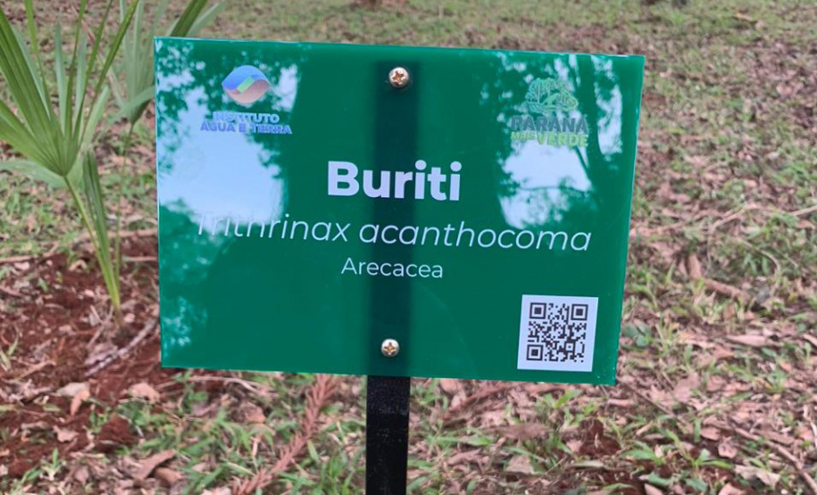 IAT CENTRO DE EDUCAÇÃO AMBIENTAL BURITI
