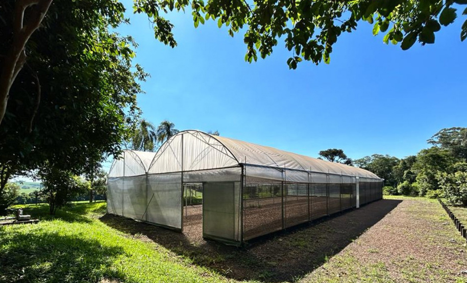 IAT CENTRO DE EDUCAÇÃO AMBIENTAL BURITI