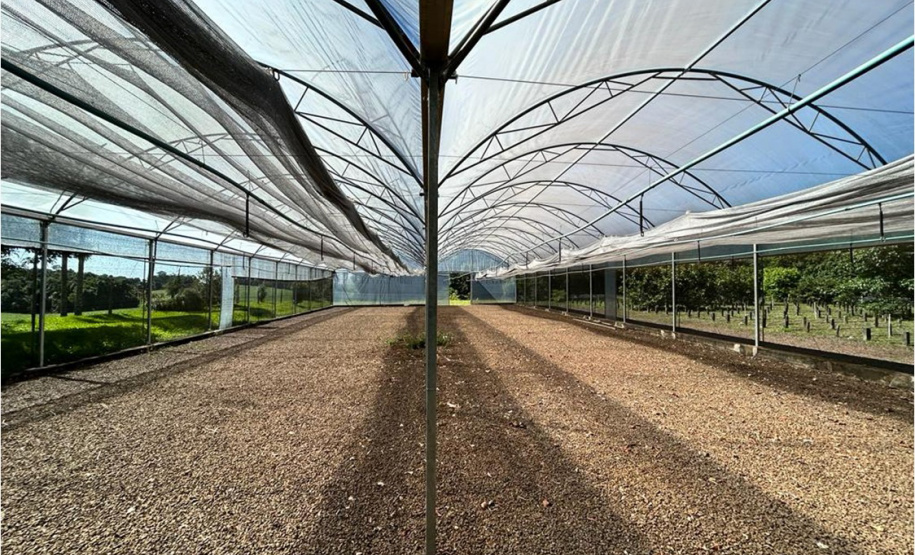 IAT CENTRO DE EDUCAÇÃO AMBIENTAL BURITI