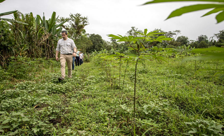 PORTOS DO PARANÁ ÁREA FLORESTAL