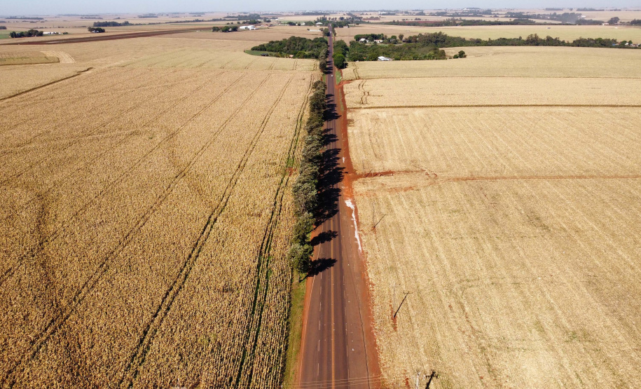 CONTORNO DE PALOTINA