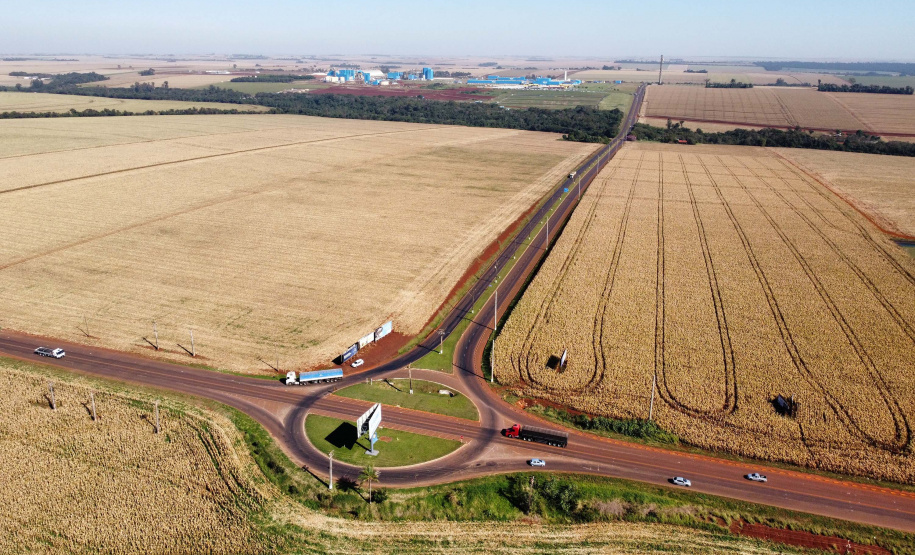 CONTORNO DE PALOTINA