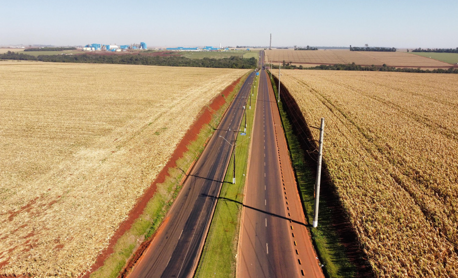 CONTORNO DE PALOTINA