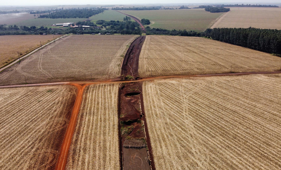 CONTORNO DE PALOTINA