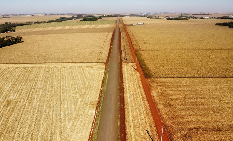 CONTORNO DE PALOTINA