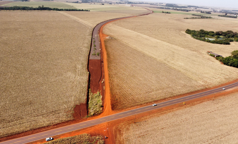 CONTORNO DE PALOTINA