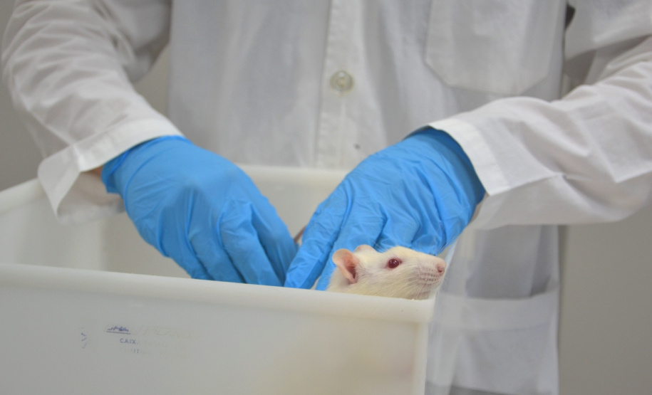 Pesquisa da Unicentro resulta num fármaco com nanopartículas para o tratamento de diabetes