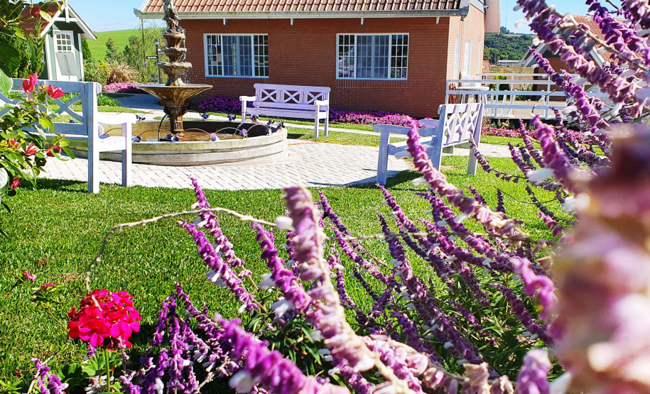 IDR ROTA DAS LAVANDAS