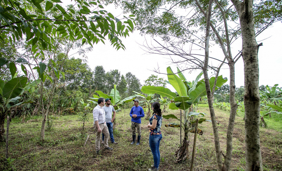 PORTOS DO PARANÁ ÁREA FLORESTAL