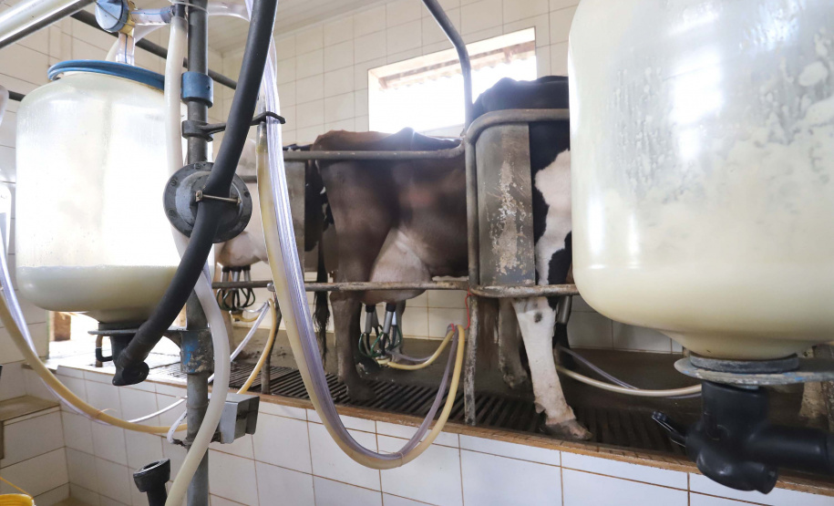 -Boletim Agropecuário analisa os preços do leite no Paraná