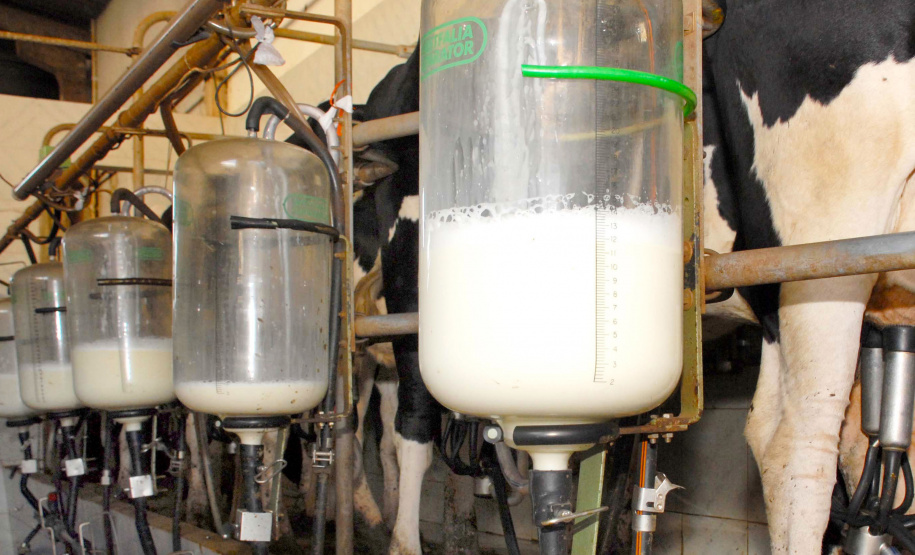 -Boletim Agropecuário analisa os preços do leite no Paraná