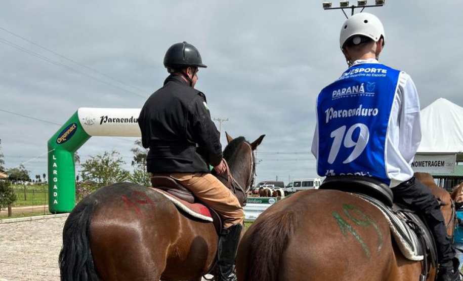 Terapia com cavalos oferecida pela PMPR colabora na qualidade de vida de pessoas com deficiência