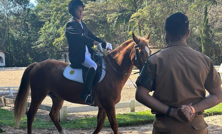 Terapia com cavalos oferecida pela PMPR colabora na qualidade de vida de pessoas com deficiência