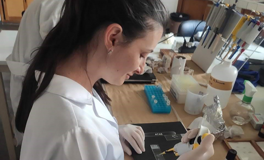 Fundação Araucária avança para reduzir o déficit de bolsas de mestrado e doutorado no estado