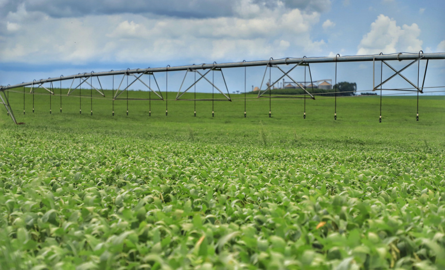 Governador sanciona lei que institui políticas de segurança hídrica na agricultura no Paraná