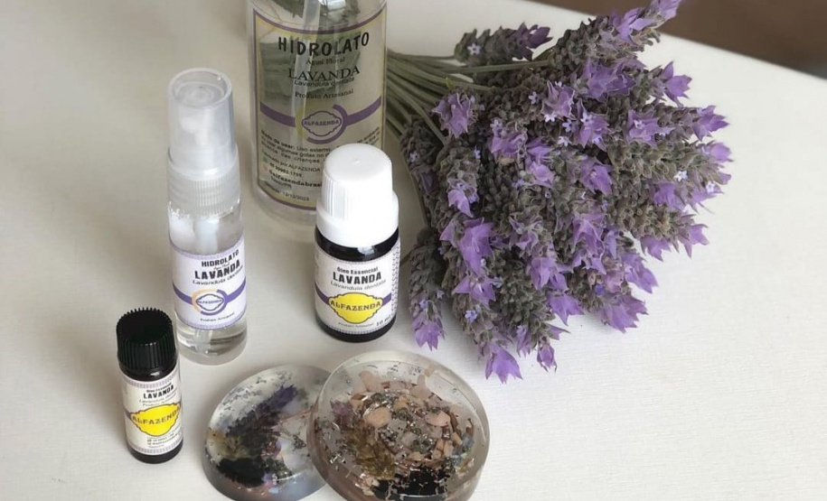 IDR ROTA DAS LAVANDAS