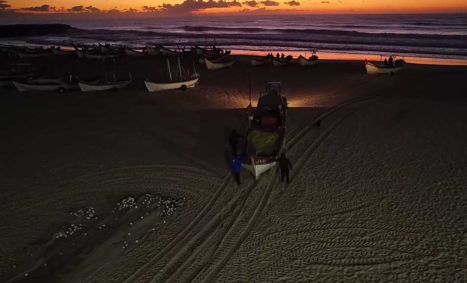 Revisões  Temporada da tainha movimenta a gastronomia caiçara no Litoral
