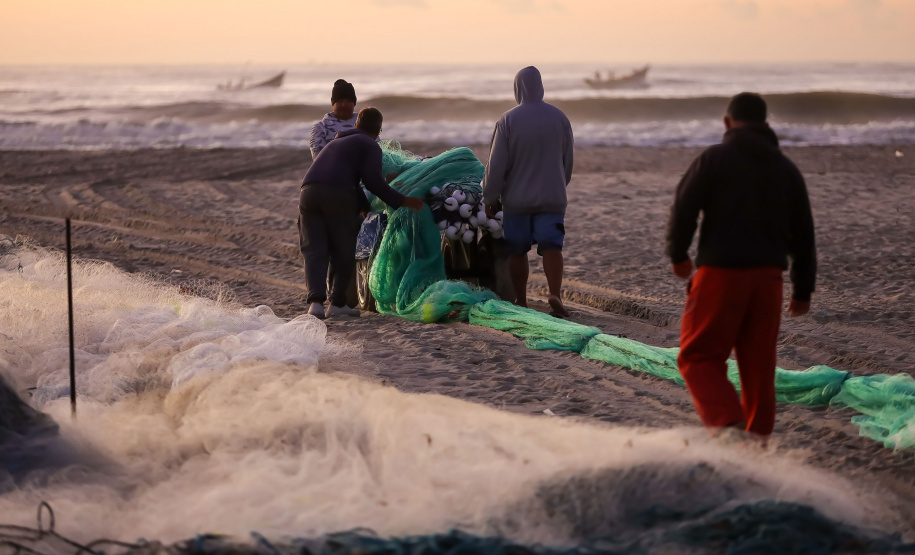 Revisões  Temporada da tainha movimenta a gastronomia caiçara no Litoral