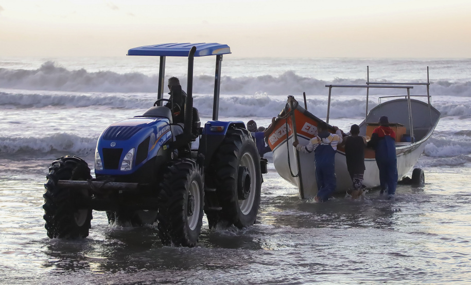 Revisões  Temporada da tainha movimenta a gastronomia caiçara no Litoral