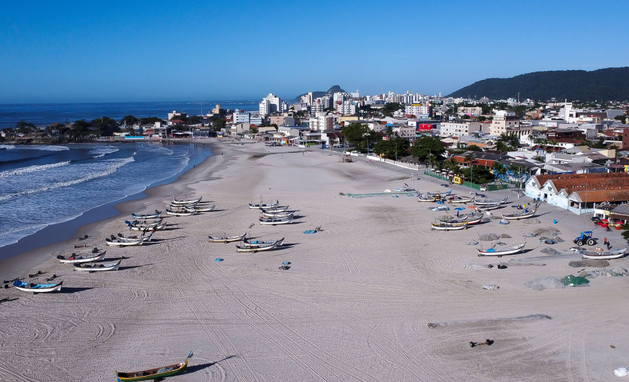 Revisões  Temporada da tainha movimenta a gastronomia caiçara no Litoral