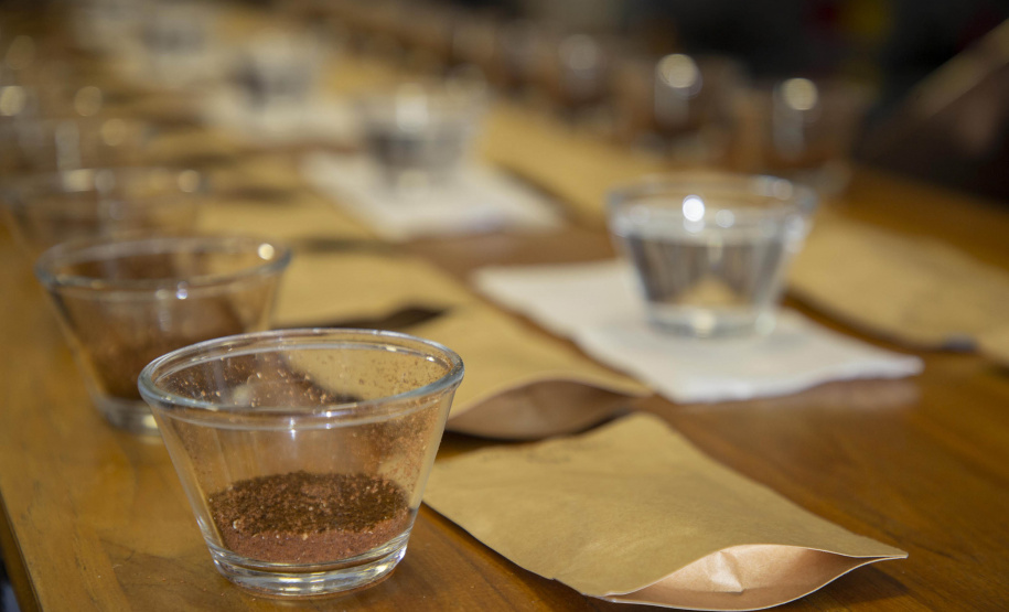 Com apoio do Tecpar, empreendedores vão produzir água especial para o preparo de cafés