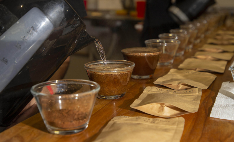 Com apoio do Tecpar, empreendedores vão produzir água especial para o preparo de cafés