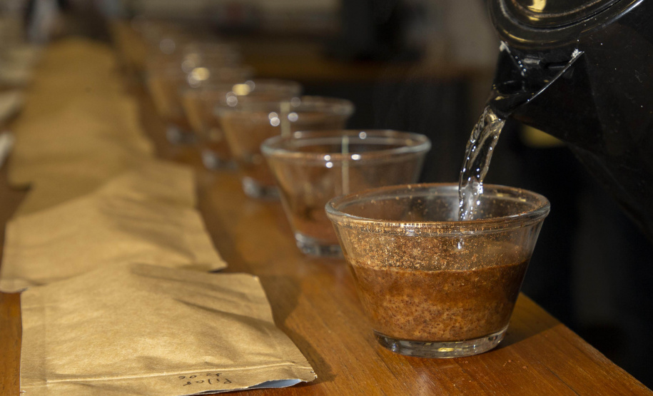 Com apoio do Tecpar, empreendedores vão produzir água especial para o preparo de cafés