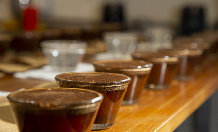 Com apoio do Tecpar, empreendedores vão produzir água especial para o preparo de cafés