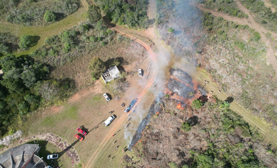 Ação de controle do pinus limpou em junho 11,2 hectares do Parque Estadual de Vila Velha