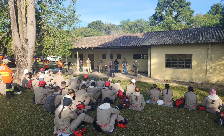 Ação de controle do pinus limpou em junho 11,2 hectares do Parque Estadual de Vila Velha