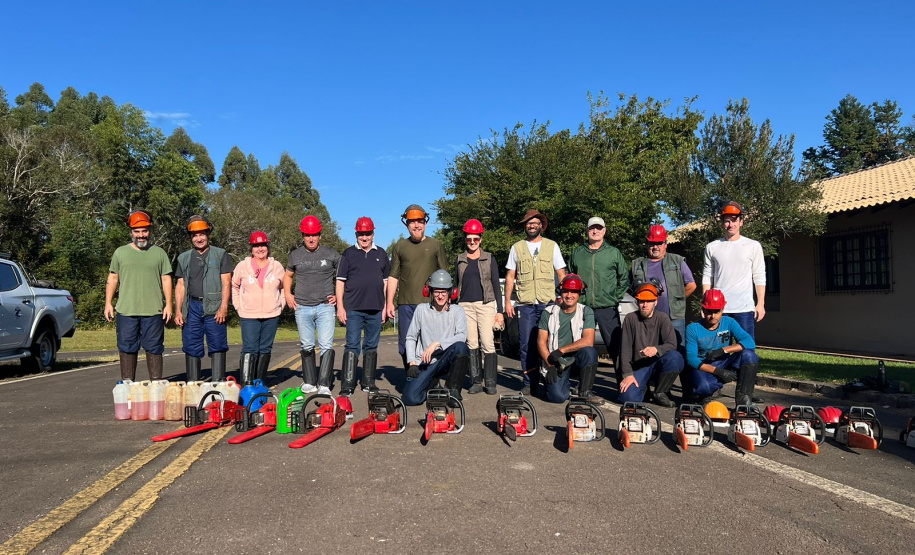 Ação de controle do pinus limpou em junho 11,2 hectares do Parque Estadual de Vila Velha