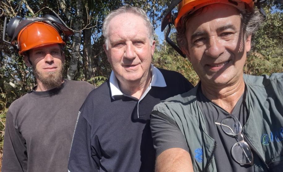 Ação de controle do pinus limpou em junho 11,2 hectares do Parque Estadual de Vila Velha