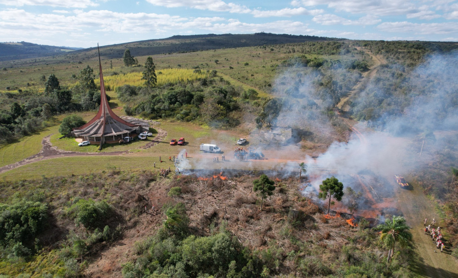 Ação de controle do pinus limpou em junho 11,2 hectares do Parque Estadual de Vila Velha