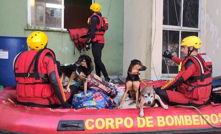BOMBEIROS