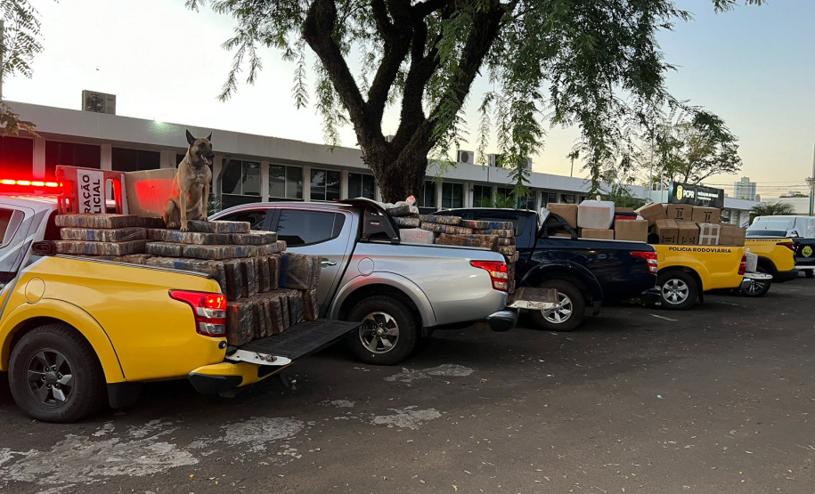 PMPR APREENSÃO MACONHA