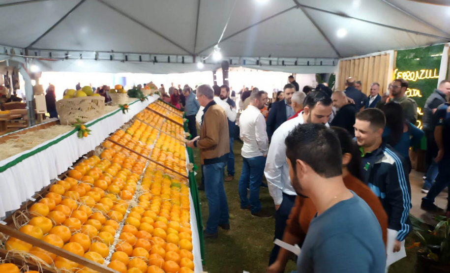 Cerro Azul promove Festa da Ponkan com apoio do Governo do Estado