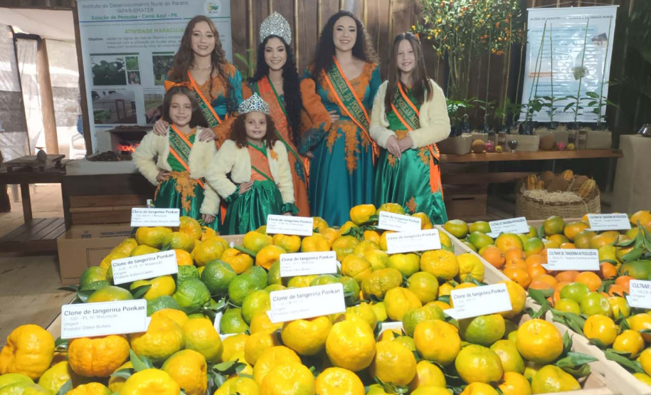 Cerro Azul promove Festa da Ponkan com apoio do Governo do Estado