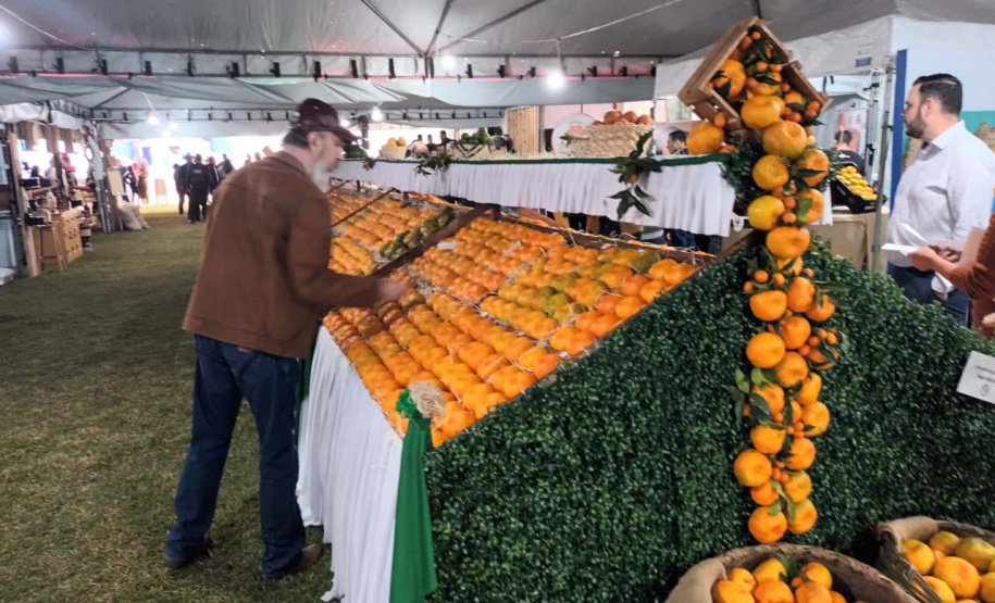 Cerro Azul promove Festa da Ponkan com apoio do Governo do Estado