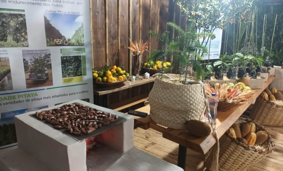 Cerro Azul promove Festa da Ponkan com apoio do Governo do Estado