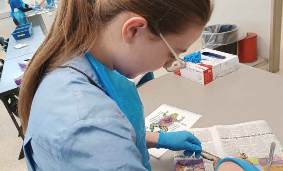 Desembarques do Ganhando o Mundo: 54 alunos concluem programa de intercâmbio na Austrália e são recebidos com festa na volta para casa