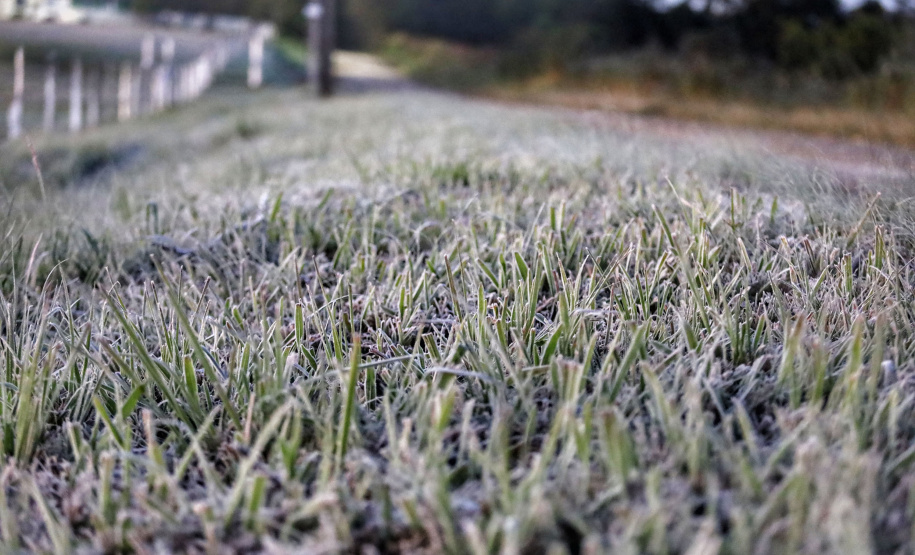 Após recorde de frio, temperatura sobe e Paraná volta a ter veranicos de inverno