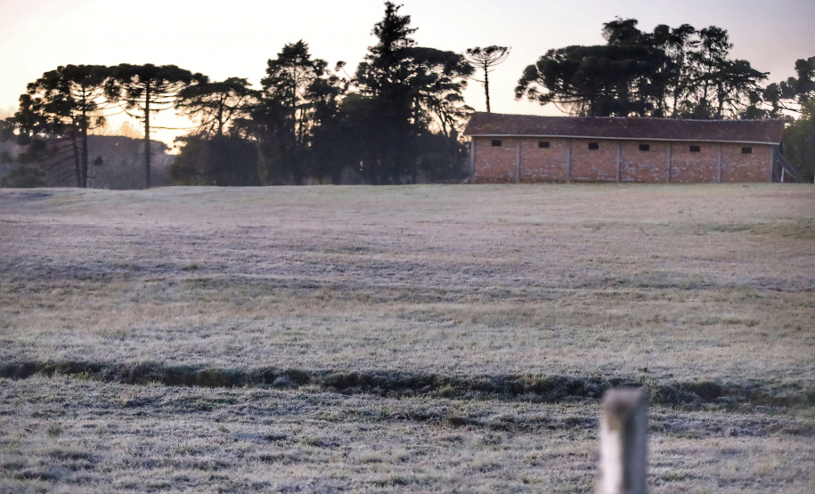 Após recorde de frio, temperatura sobe e Paraná volta a ter veranicos de inverno