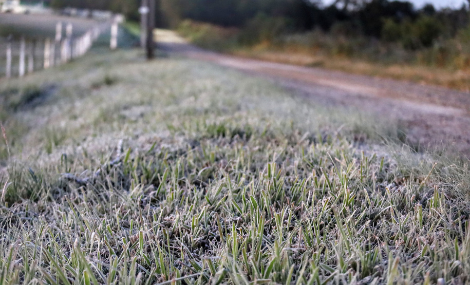 Após recorde de frio, temperatura sobe e Paraná volta a ter veranicos de inverno