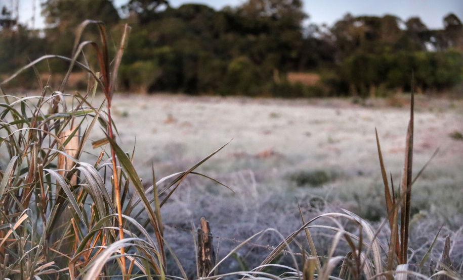 Após recorde de frio, temperatura sobe e Paraná volta a ter veranicos de inverno