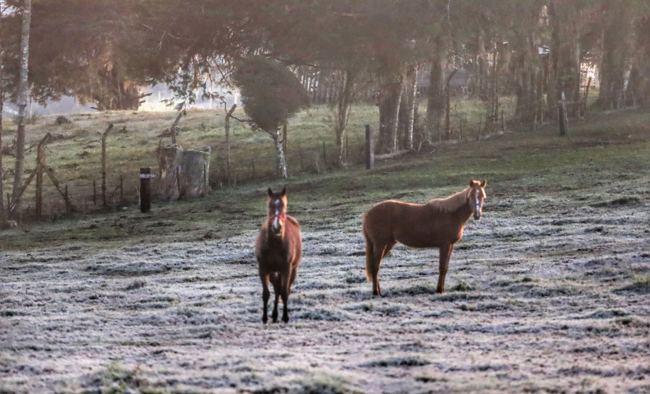 Após recorde de frio, temperatura sobe e Paraná volta a ter veranicos de inverno